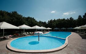 Forrest Park&Resort